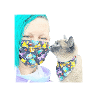 Video Games Pokemon Sticker by Geekster Pets