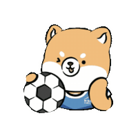 Football Sport Sticker by Miniso Canada