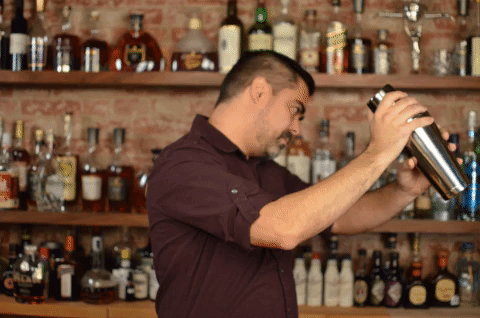 boston shaker shaking a cocktail GIF