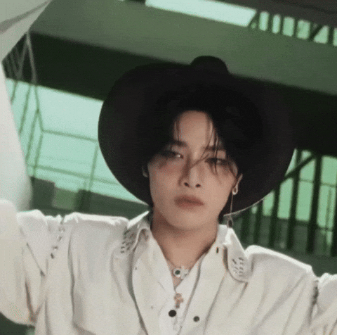 Stray Kids Skz GIF