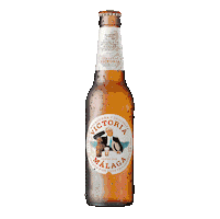 Beer Cerveza Sticker by Cervezas Victoria Málaga