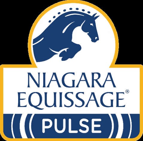 Niagaraequissage giphygifmaker equissage equissagepulse niagaraequissagepulse GIF