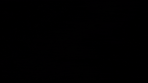 GIF by $STARL.TV