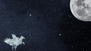 Moon Universe GIF by Century Media Records
