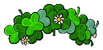 St Patricks Day Flowers Sticker by Stefanie Shank