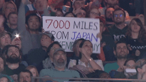 charlotte hornets basketball GIF by NBA