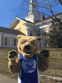 mascot dancing GIF by Wheaton College (MA)