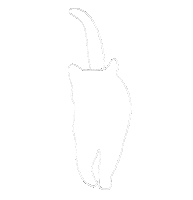 akimame cat ねこ 猫 beadsbeans Sticker