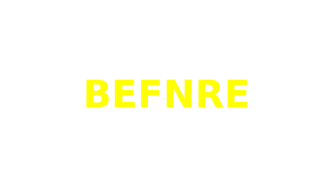 4SRE giphyupload after before alphanumera Sticker