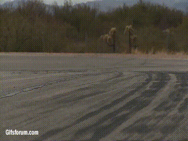 moto GIF