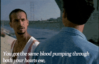 blood GIF