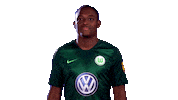 walk on Sticker by VfL Wolfsburg