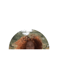 TenutaCesano organic puglia biologico olioevo Sticker