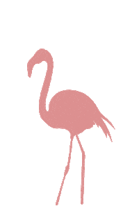 helmdesignstudio pink stars flamingo helm Sticker