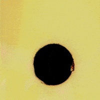 Music Video Party GIF by Bejo Flow