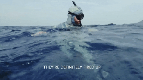 Excited Fired Up GIF by Shark Week