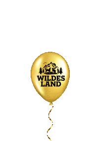 Birthday Happiness Sticker by Wildes Land