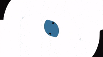 Liquid motion graphics animation kit edition for content creators