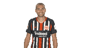 Happy Freak Out Sticker by Bundesliga