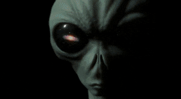 schaubglobal dave schaub GIF