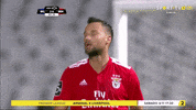 sl benfica slbgifs GIF by Sport Lisboa e Benfica