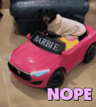 Barbieweenie no bye nope no thanks GIF