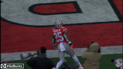 Ncaa Sports GIF by Ohio State Athletics