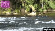 exploreorg love nature animal organic GIF