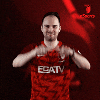Bundesliga Fifa GIF by FC Augsburg 1907