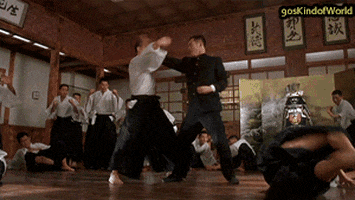 martial arts 90s GIF