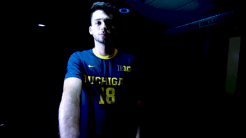 GIF by Michigan Athletics