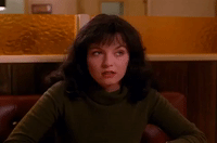 season 2 GIF by Twin Peaks on Showtime