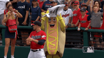 Major League Baseball Sport GIF by MLB