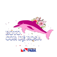 Estado Do Para Sticker by SECOMPA