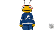 Ice Hockey Whatever GIF by NHL