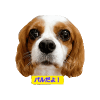 Smile Sticker