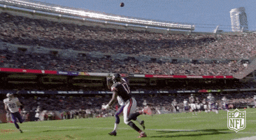 Chicago Bears Football GIF by NFL