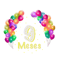 Festa 9 Meses Sticker
