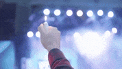 GIF by UFC