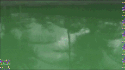 Art Artist GIF by jorgemariozuleta