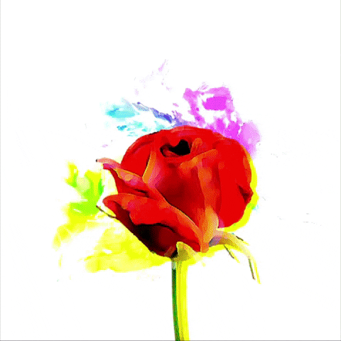 Flower Neon GIF by Angieluxd