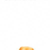 Digital art gif. A dog with its tongue out and eyes closed bob under the word "Sarcasm". A montage of images alternate with the dog; a burrito, butter on toast, blue lingerie and a jar of Vaporub. 