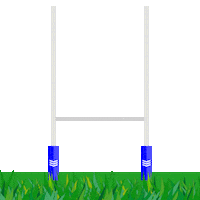 Irish Rugby Sticker by Bank of Ireland
