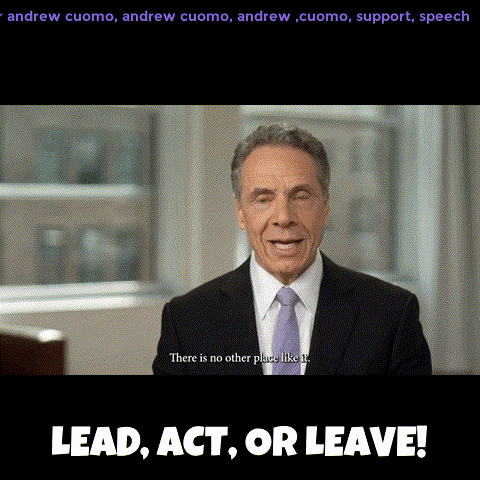 New York Vote GIF by Andrew Cuomo