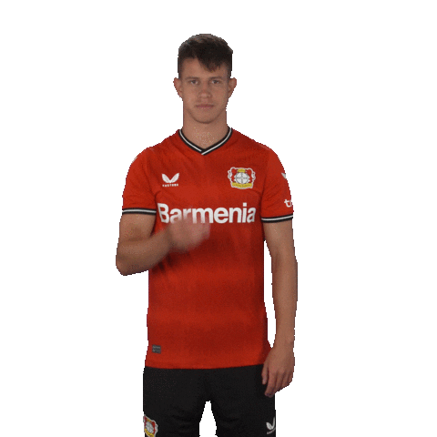 I Love You Kiss Sticker by Bayer 04 Leverkusen