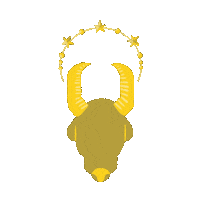 Magic Shine Sticker