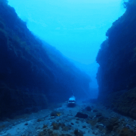 Visions Thegame23 GIF by Komplex