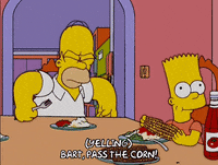 homer simpson episode 21 GIF