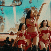 Megan Lollapalooza GIF by Respective