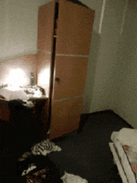 closet GIF